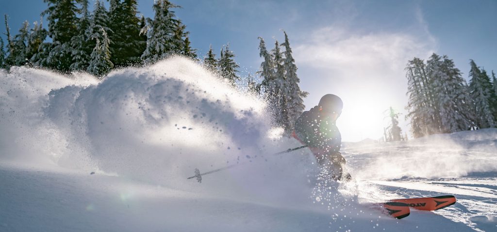 sugar bowl e1698988297722