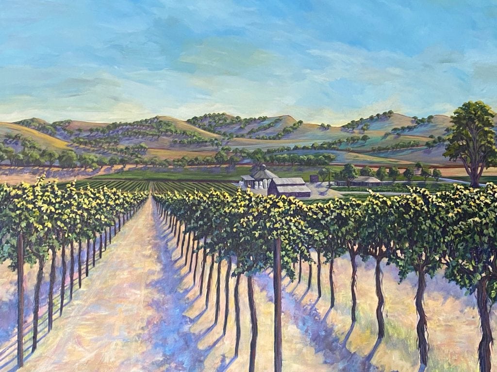 darcyvineyards