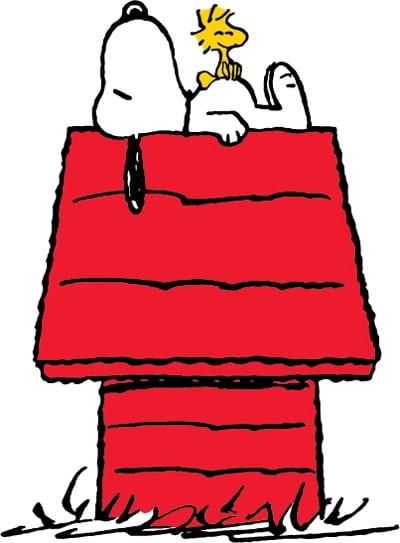 snoop