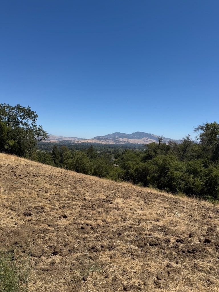 Dino Hill park rotated