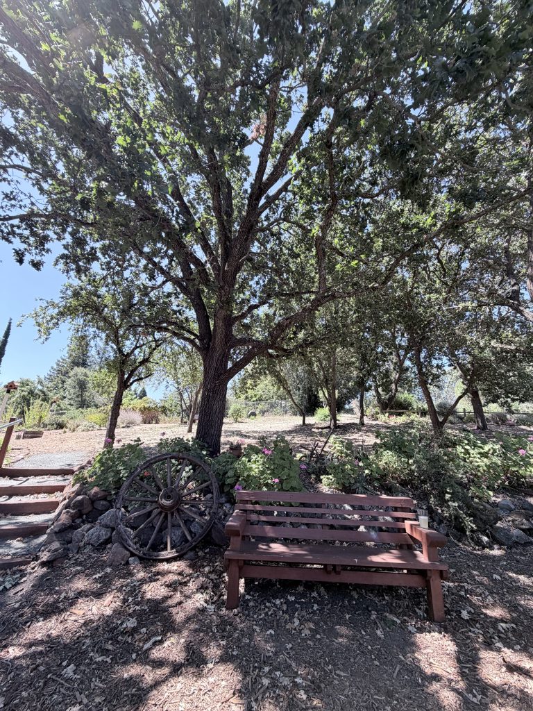 paso trail